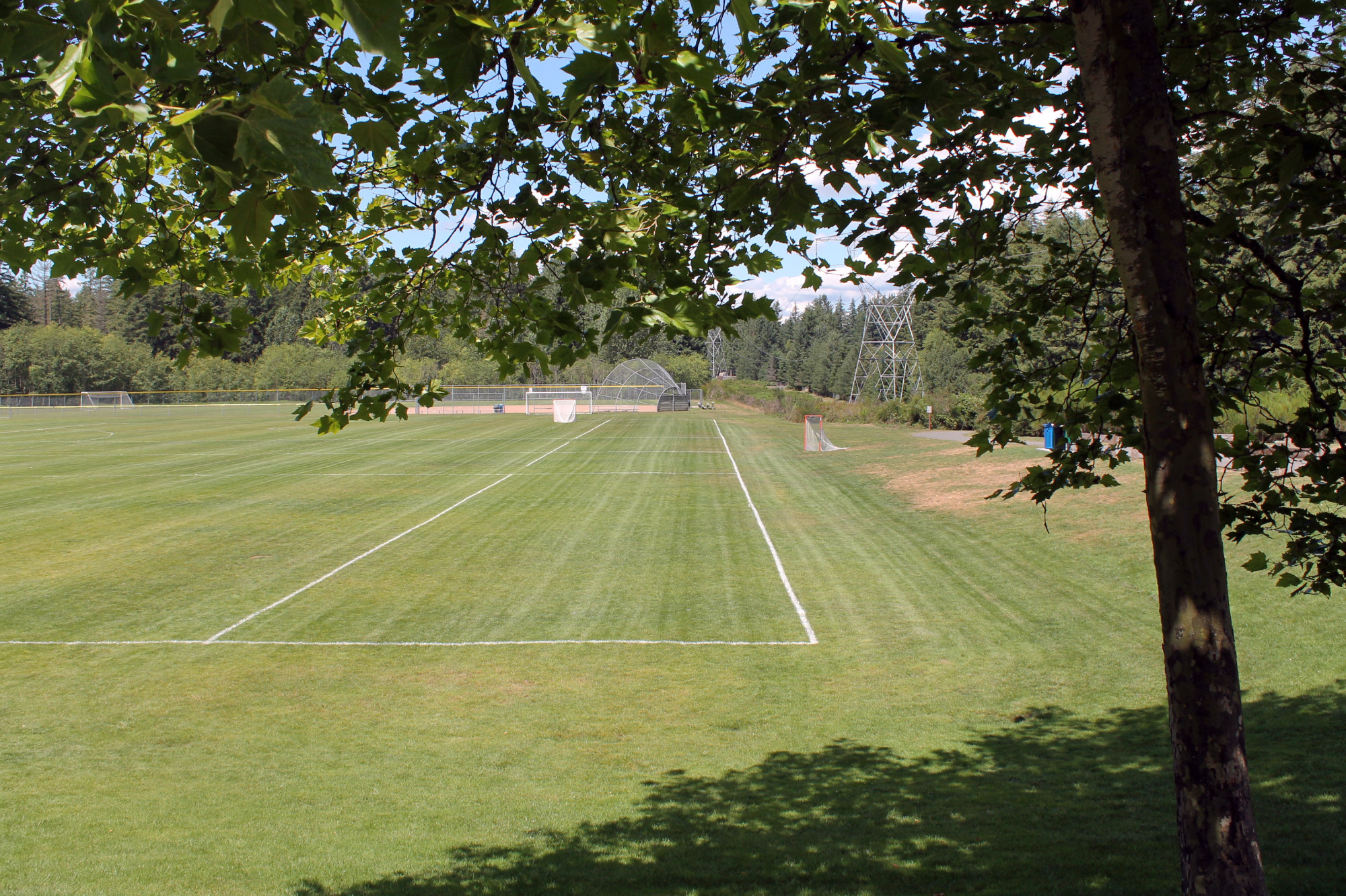 Klahanie Park soccer field with baseball diamond in the background. The photo is taken from the shade of a deciduous tree, its branches overhanging the top of the photo.