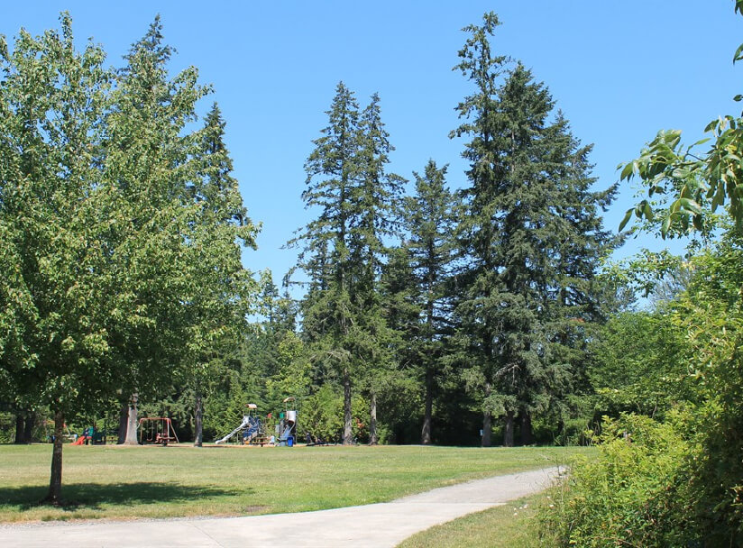 Grassy area in Ebright Creek Park with children's playground in the distance with swing set, slide, and other playground equipment. 