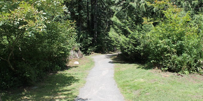 gravel trail at beaver lake preserve, leading from a sunny grassy area into a native forested area