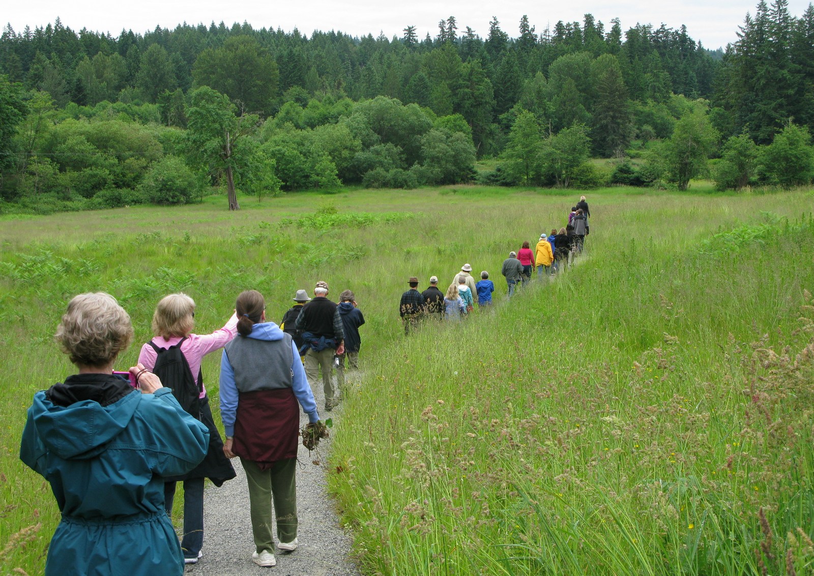 group walks on path through open meadow of waist-high grass at Evans Creek Preserve, lots of deciduous and coniferous trees loom in the background