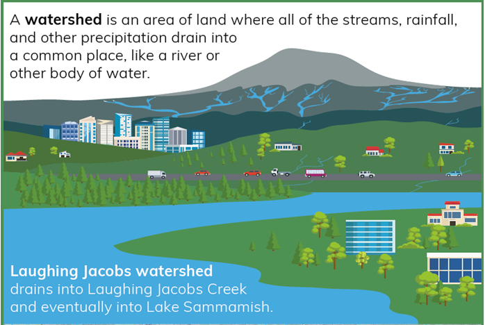 illustration of what a watershed is, demonstrating how water flows from snowmelt in the mountains and rainfall in the city into our lakes
