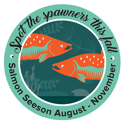 Spot the Spawners this Fall! Salmon Seeson August - November
