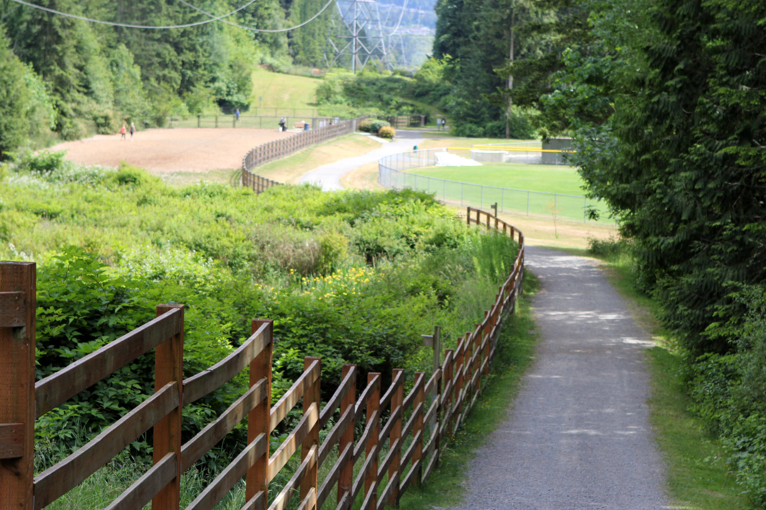 Paved walking path in Beaver Lake Park leading to baseball fields, path is fenced on left side, trees and shrubbery line the path