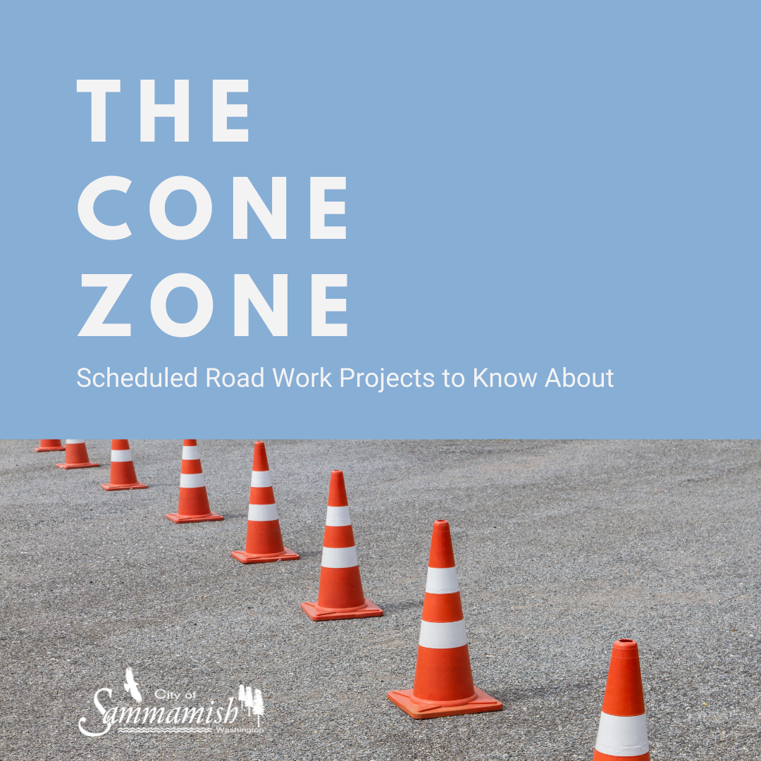 Road construction graphic with several orange and white road construction cones on a street. Notice says: The Cone Zone - Scheduled Road Work Projects to Know About