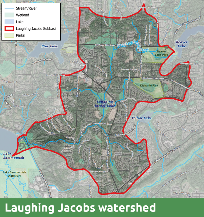 map of Laughing Jacobs sub-basin including basin borders, streams, wetlands and lakes