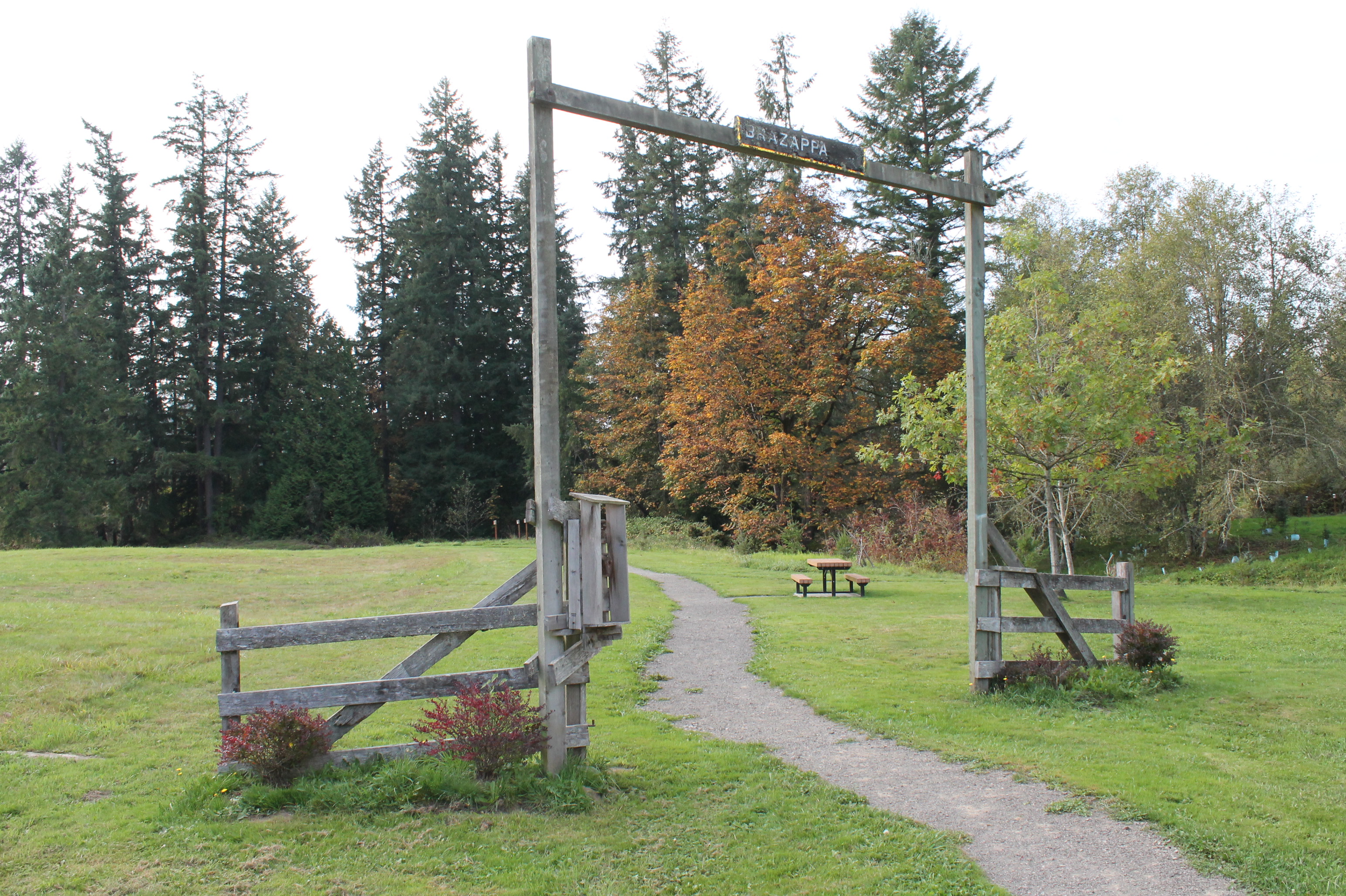 evans creek preserve entrance, grassy fields bordered by trees, a lone picnic table sits in the foreground